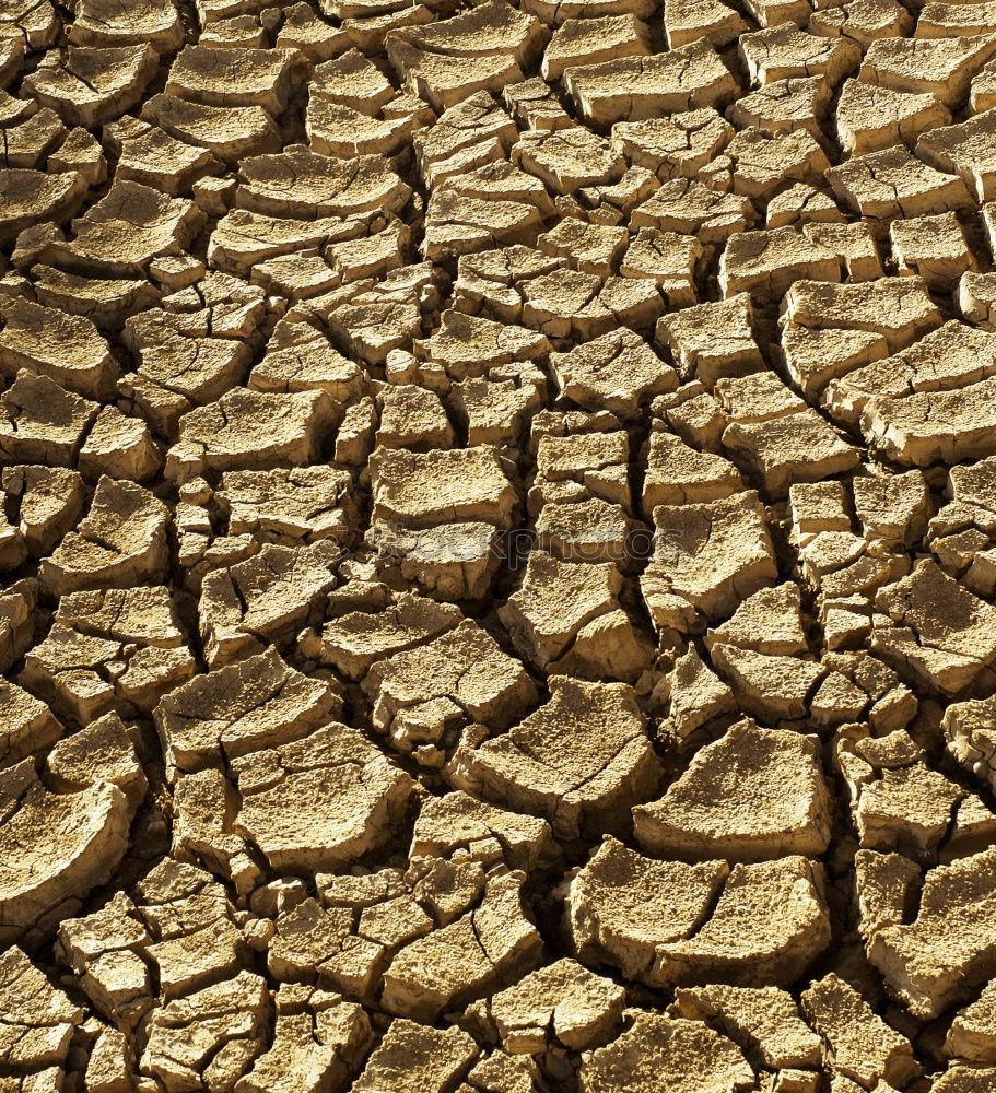 Similar – Image, Stock Photo summer soil Summer Skin