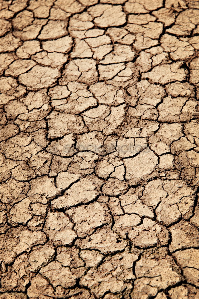 yellow tennis ball on the dessert ground