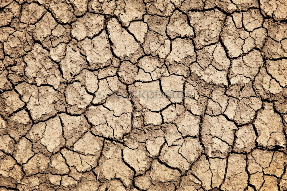 Image, Stock Photo Mini Grand Canyon Dry