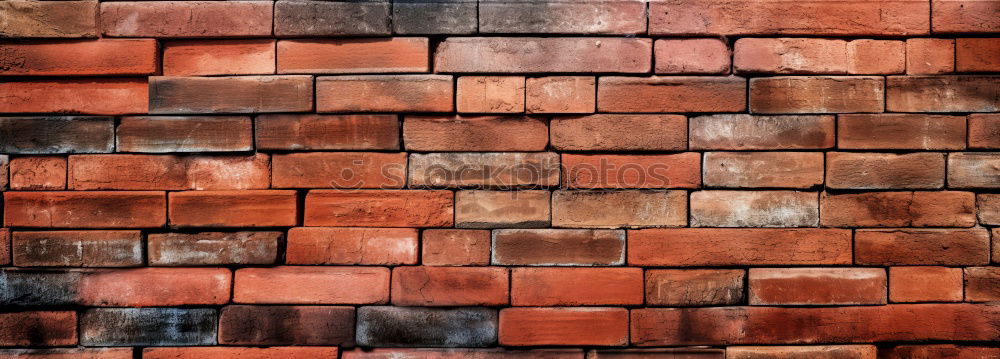 Similar – moss roof Roof Brick