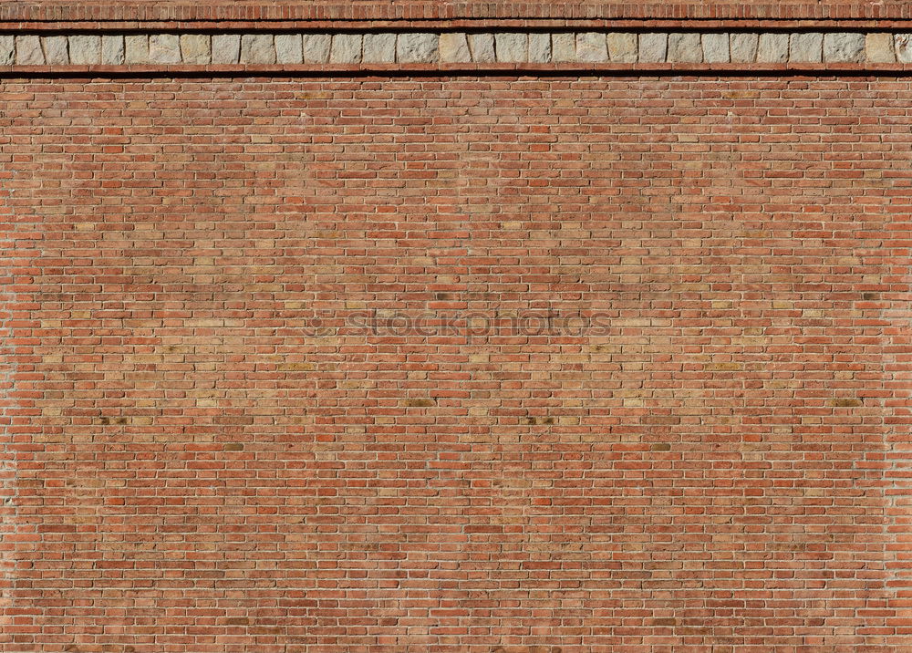 Similar – AGAINST BRICKS. ALWAYS.