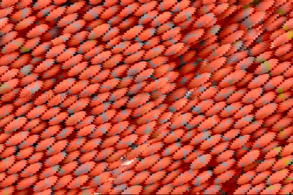Similar – Image, Stock Photo #A# Strawberry Week Art