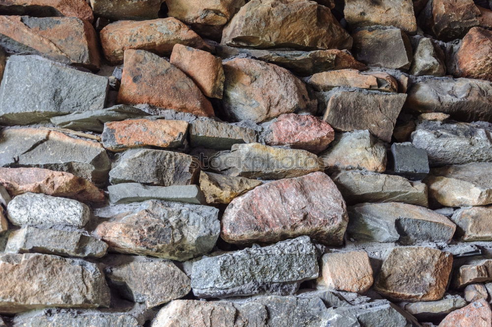 Similar – Image, Stock Photo Stone and Autumn