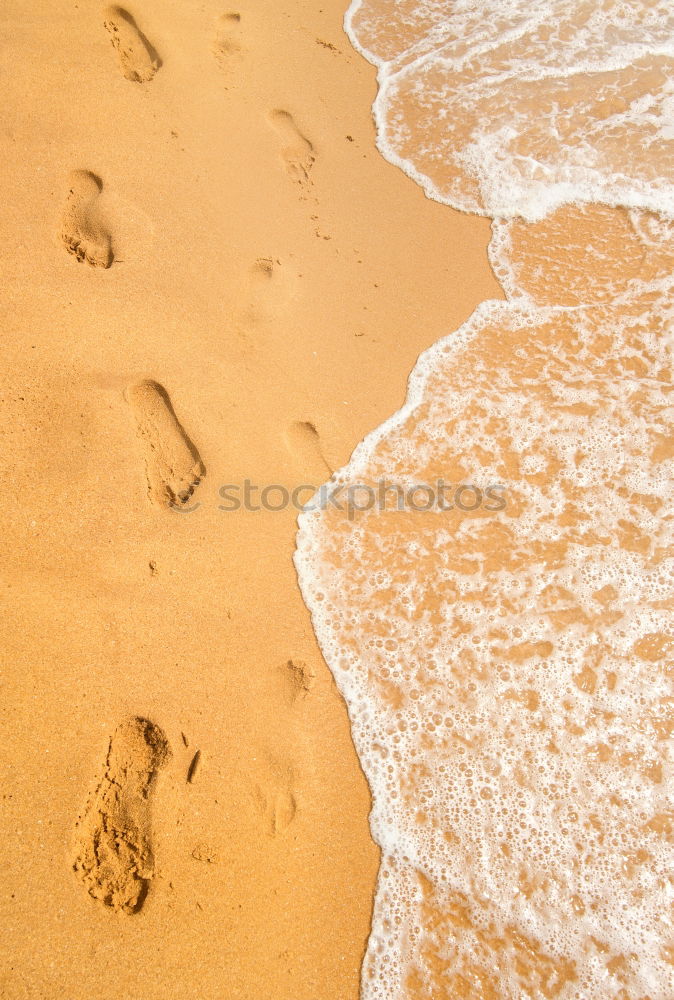 Similar – Image, Stock Photo beach sand walk Beach