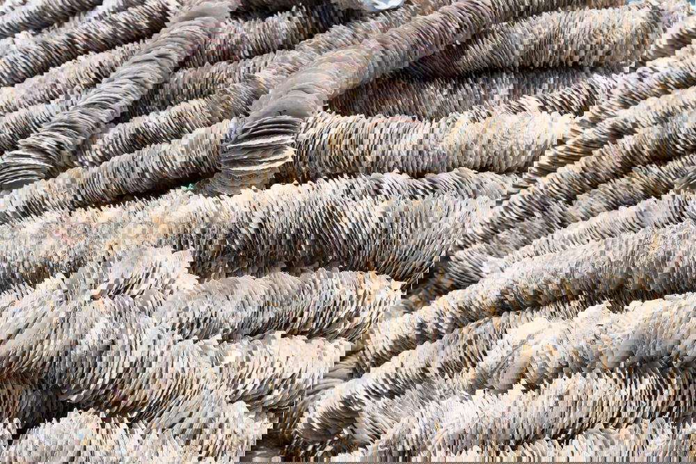 Similar – Image, Stock Photo Memories of Danish fishermen