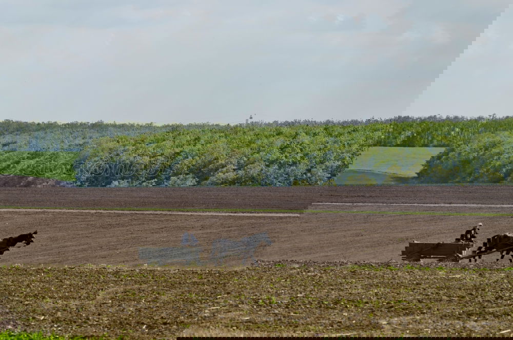 Similar – Foto Bild CHAMANSÜLZ | weites land