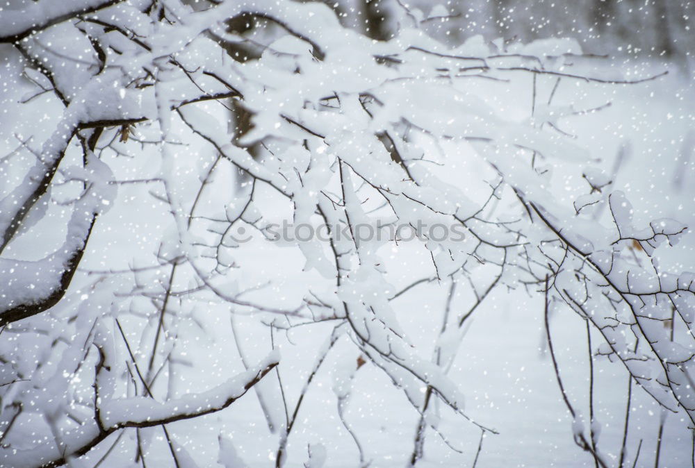 Similar – Foto Bild Schwarzgelbe Geschäftsgrundlage