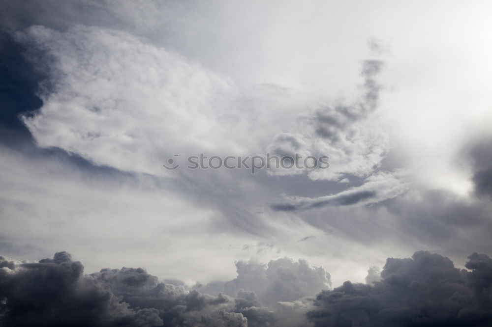 Similar – Image, Stock Photo fluffy baby face