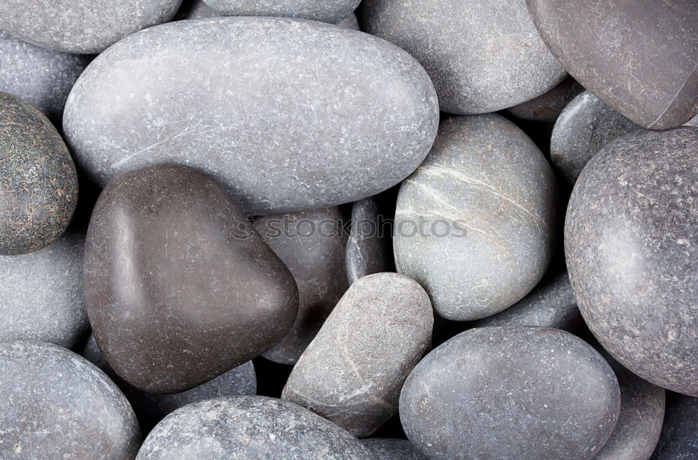 Similar – Image, Stock Photo stony beach Beach