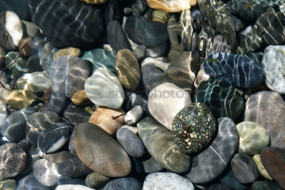 Similar – stones Beach Stone