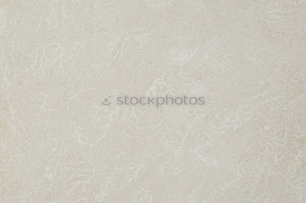 Similar – Image, Stock Photo ornament