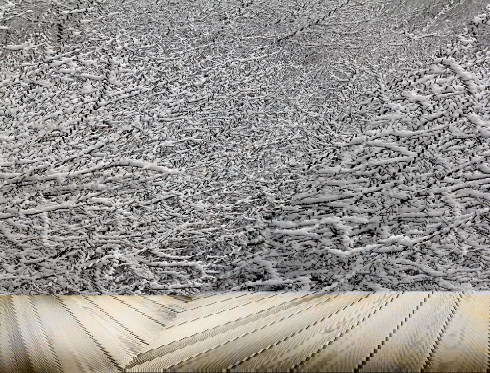 Similar – Foto Bild Biergarten im Winter?