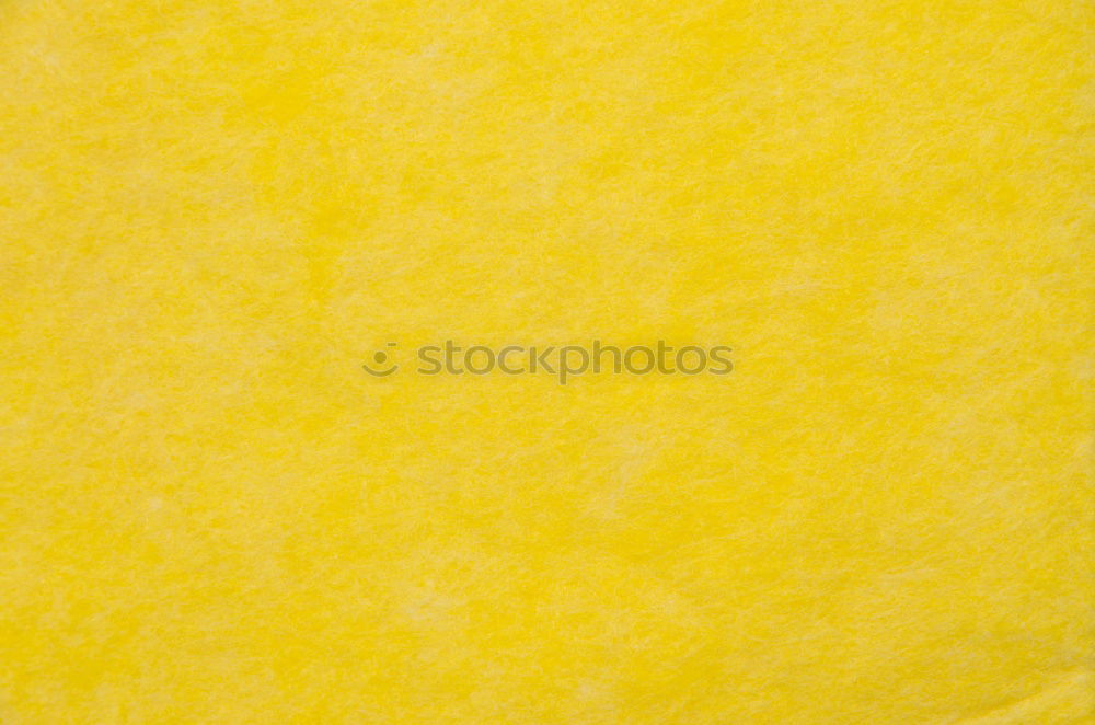 Similar – Image, Stock Photo Spreedorado. Hang out.
