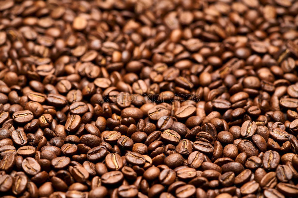 Similar – Image, Stock Photo espresso beans Espresso