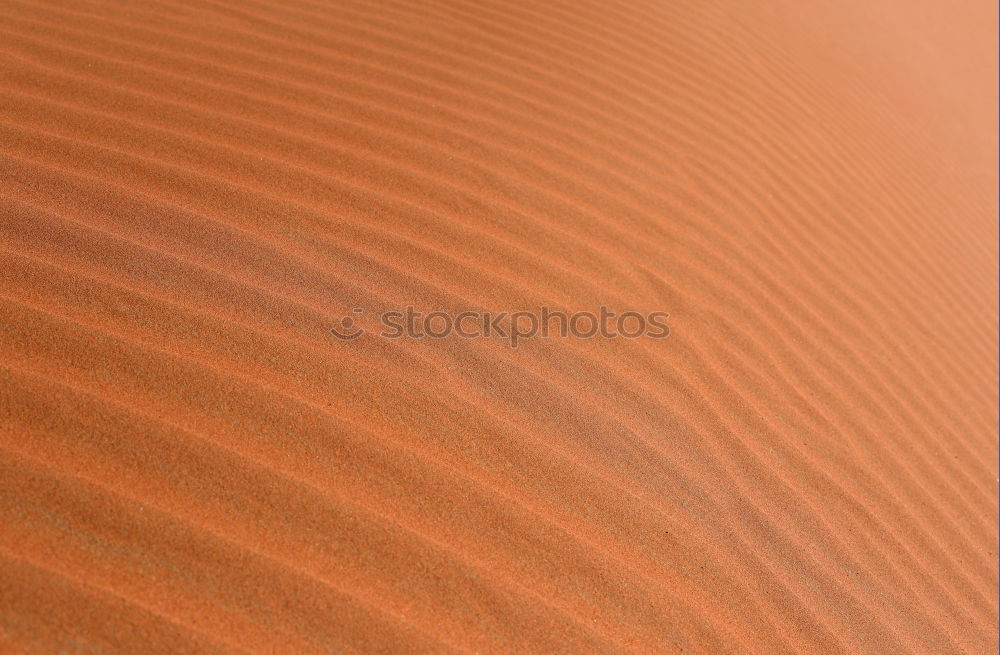 Similar – Foto Bild Überlebenskünstler Umwelt