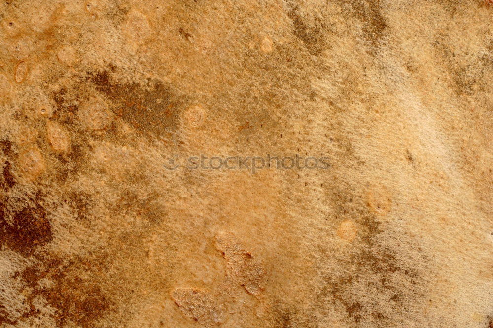Similar – Image, Stock Photo in oman rub al khali old desert and the