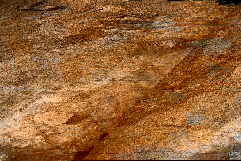 Similar – Foto Bild Auftritt Bem Bühne