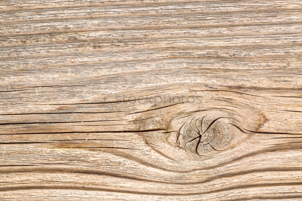 Similar – Image, Stock Photo knot hole Wood