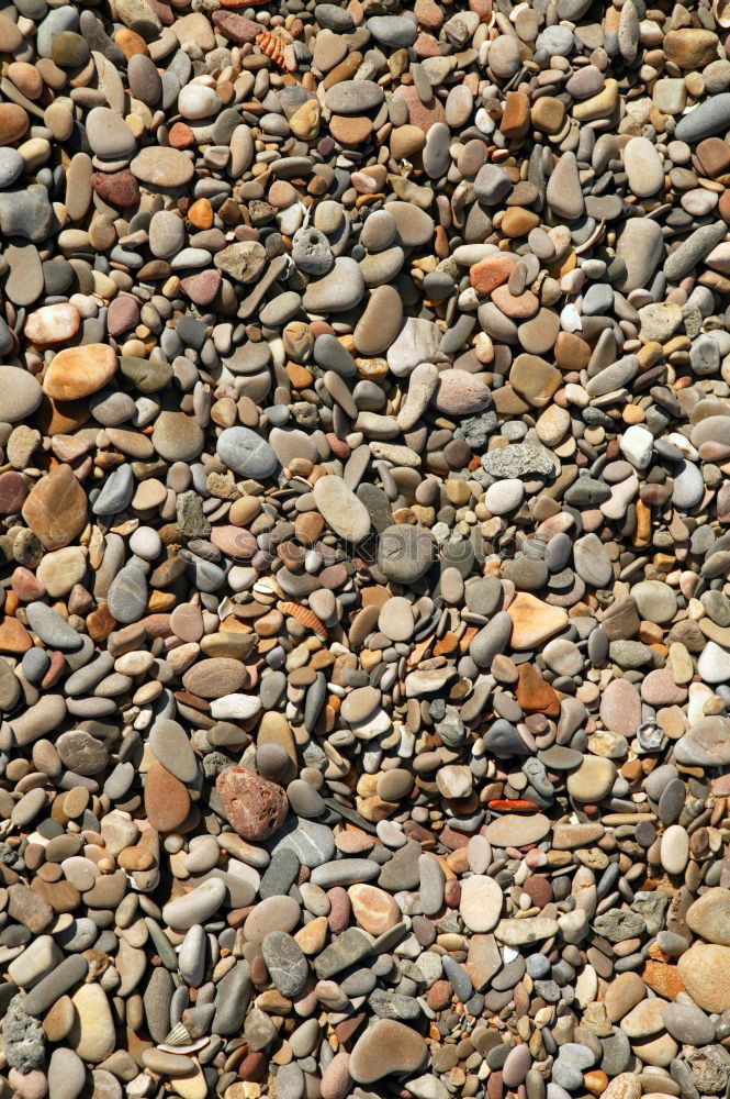 pebble Coast Beach