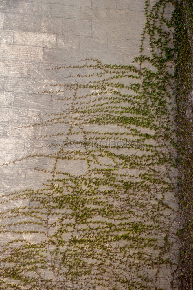 Similar – Image, Stock Photo The Past. Art Work of art