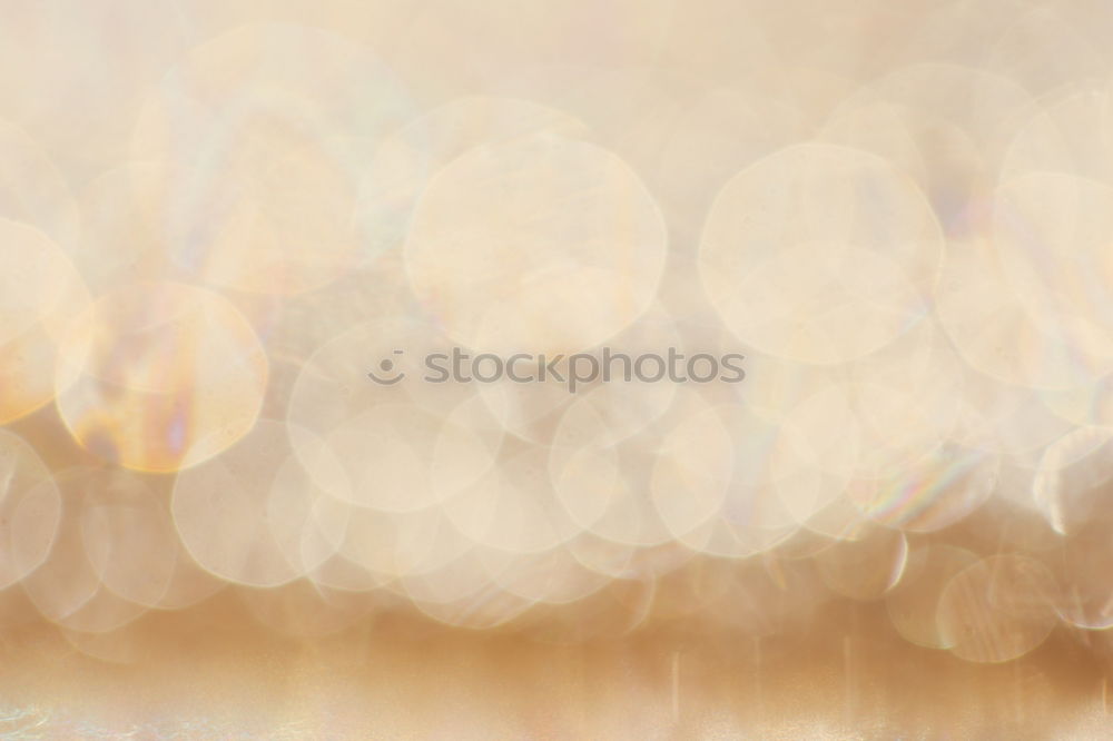 Similar – Image, Stock Photo delicate blossoms Elegant