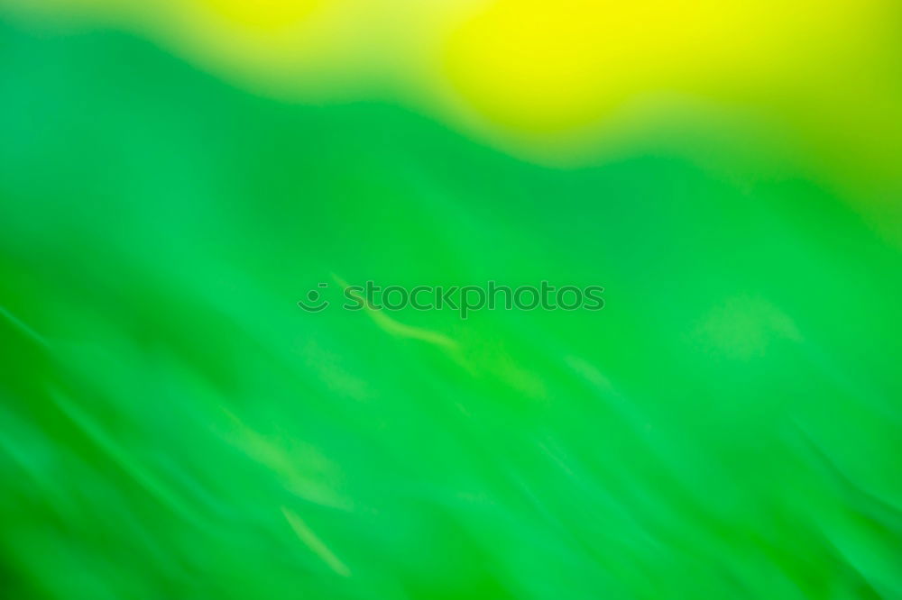 Similar – Image, Stock Photo grass Environment Esthetic