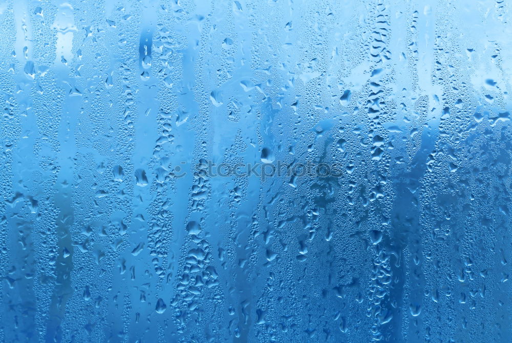 Similar – Hides scaffolding and roof covered with blue plastic tarpaulins Protection from rain