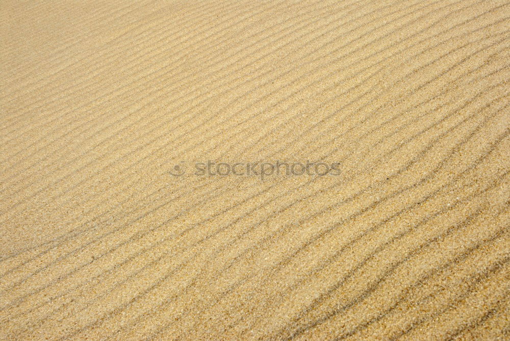 Similar – Sand texture on the beach