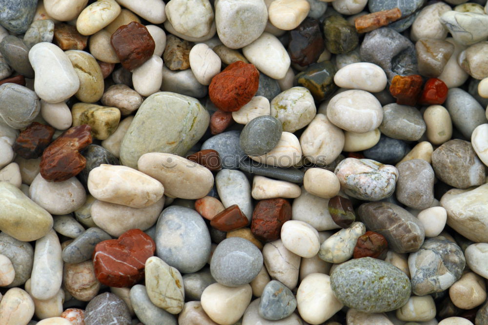 Similar – pebbles Stony Hard