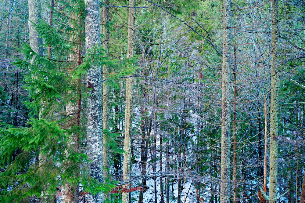 Similar – Photographs of the D´Aran Valley in the Spanish Pyrenees.