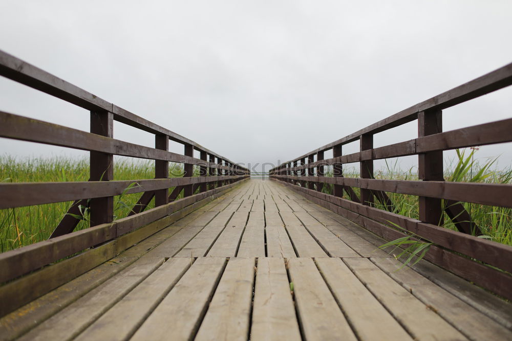 Similar – Image, Stock Photo The Cross Nature Landscape