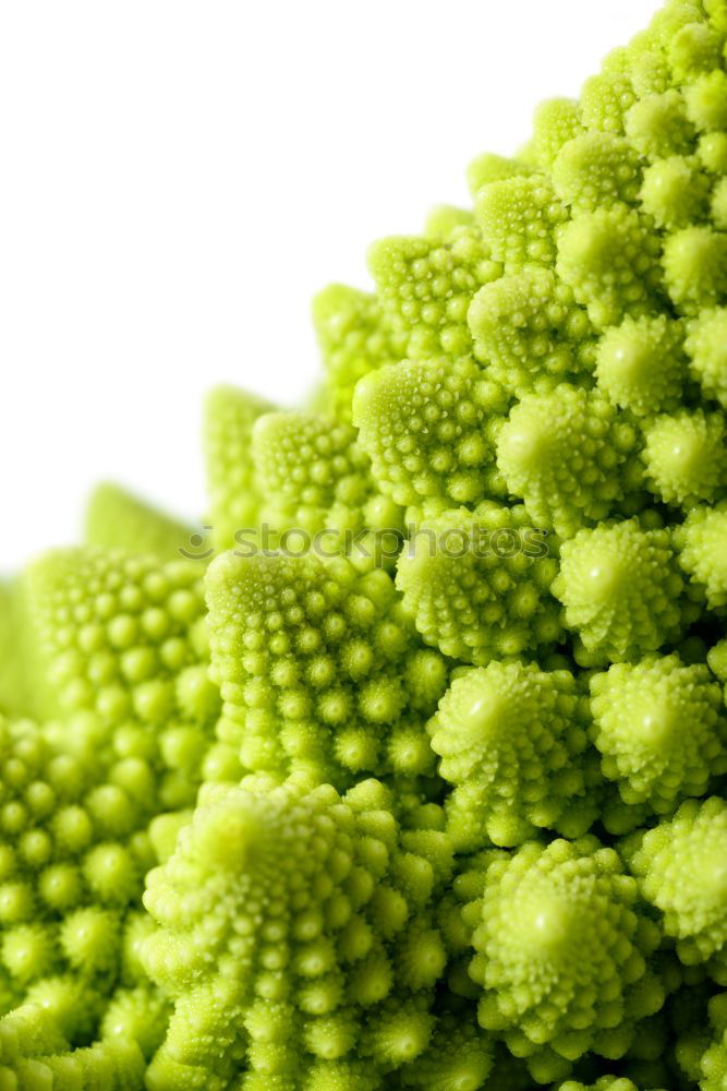 Similar – Fractal vegetables