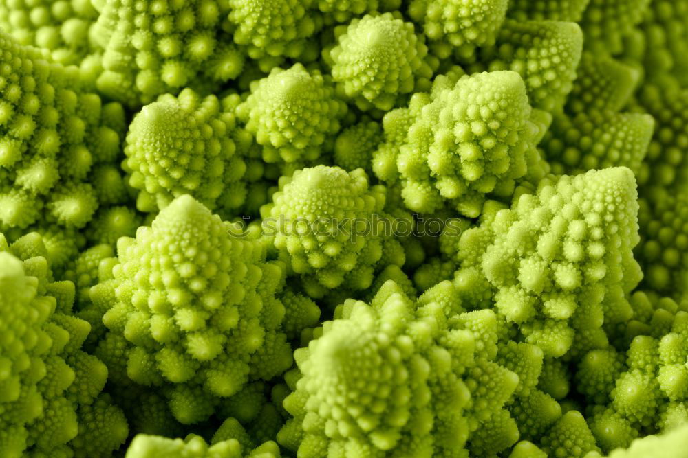 Similar – Fractal vegetables