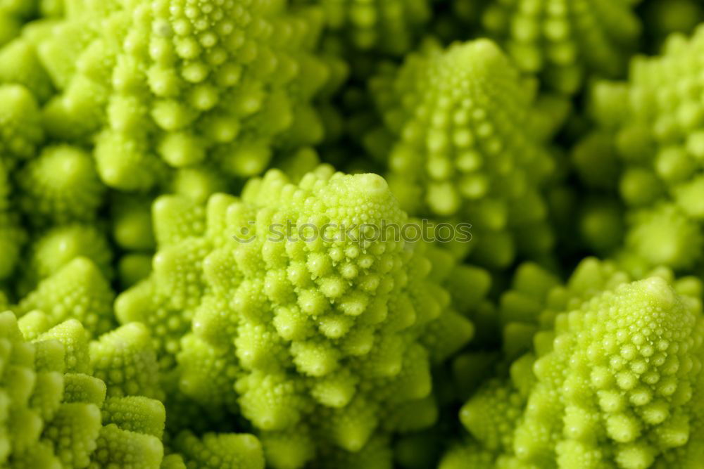 Similar – Image, Stock Photo Vegetable Landscape II