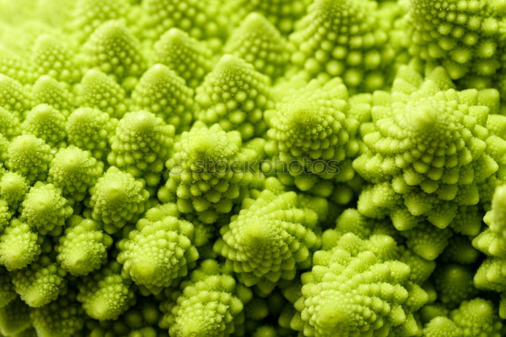 Similar – Image, Stock Photo Vegetable Landscape II