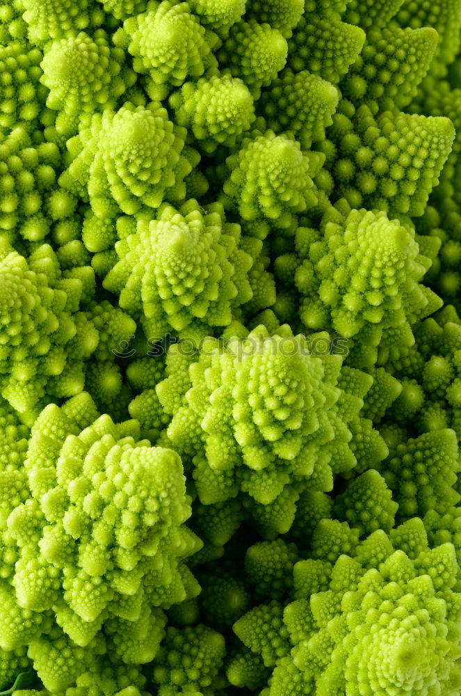 Similar – Image, Stock Photo Detail of a Romanesco cabbage