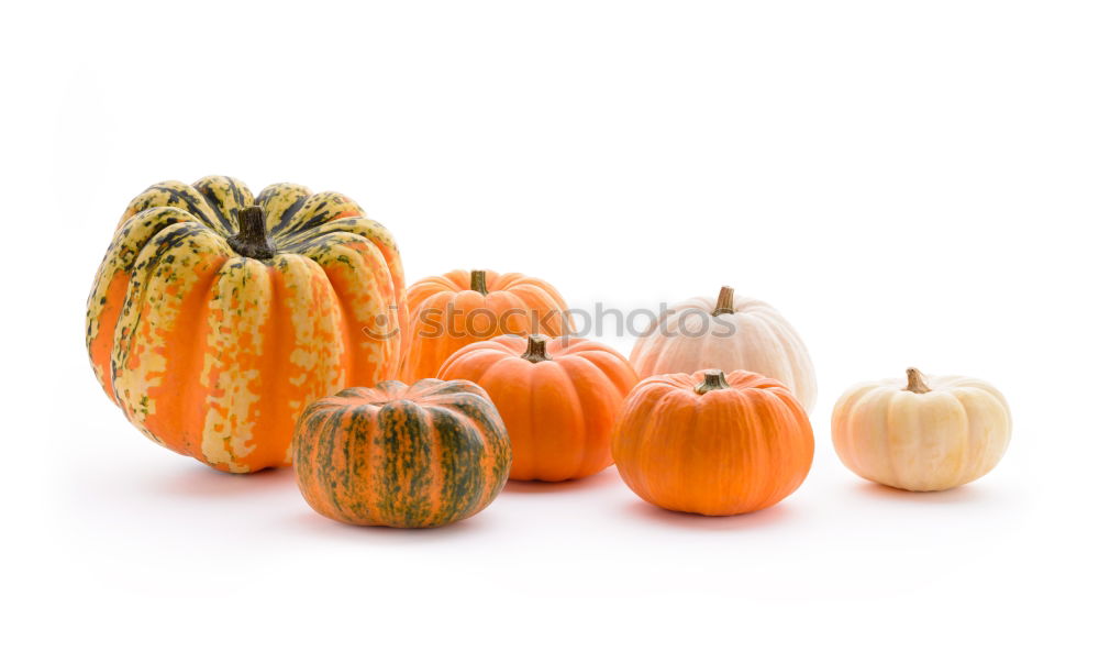 Similar – Image, Stock Photo Pumpkin stack on white