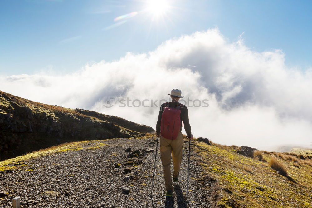 Tourist man with map Field