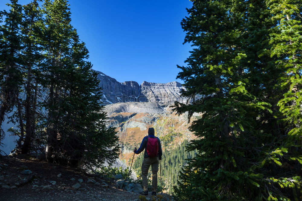 Similar – Woman walks and looks into the mountains