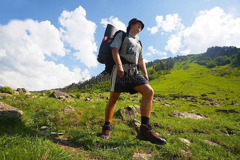 Similar – Image, Stock Photo jump Alpine pasture Summer