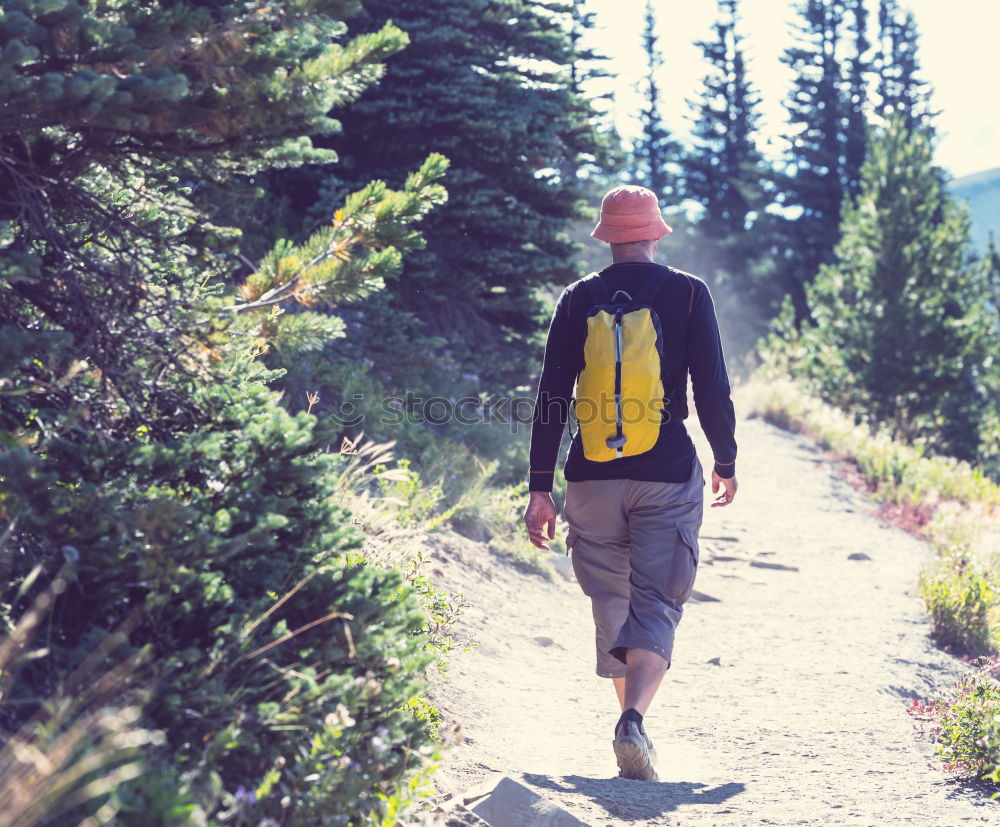 Similar – Image, Stock Photo Handsome tourist at mountain lake