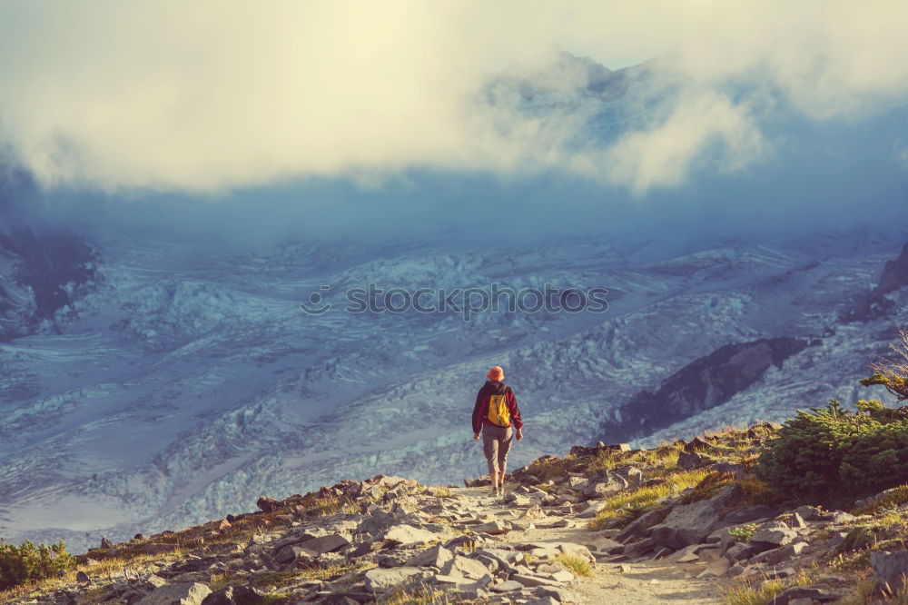 Similar – Image, Stock Photo Hikers on Alpine crossing | Timmelsjoch | E5