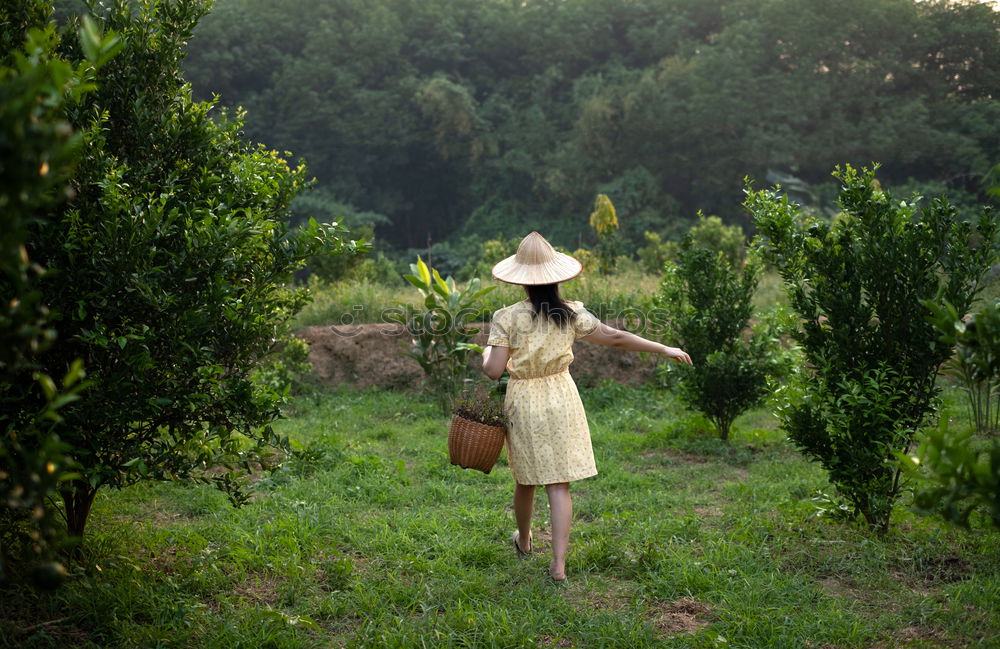 Similar – Image, Stock Photo Country life dream