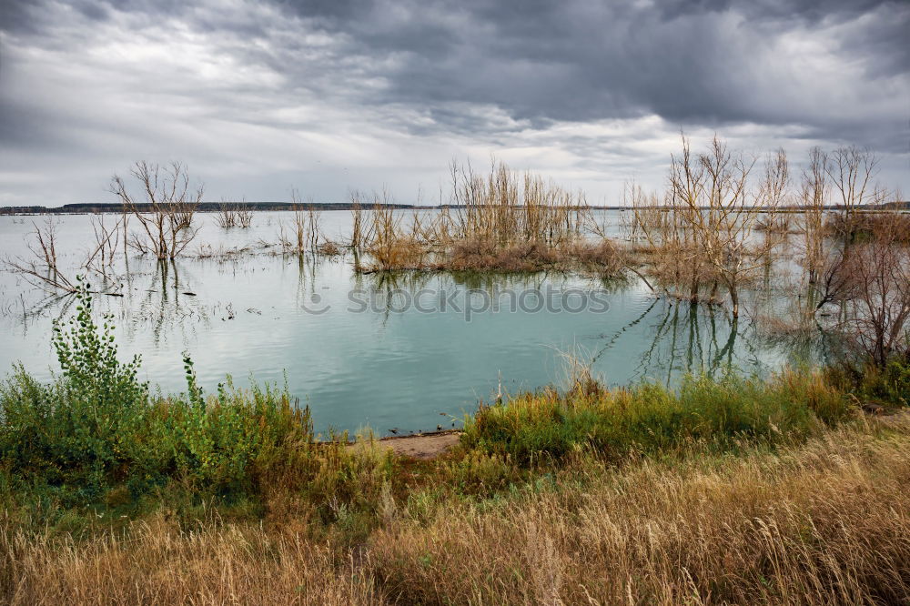 Similar – Image, Stock Photo Basin Agdal Pond Meknes