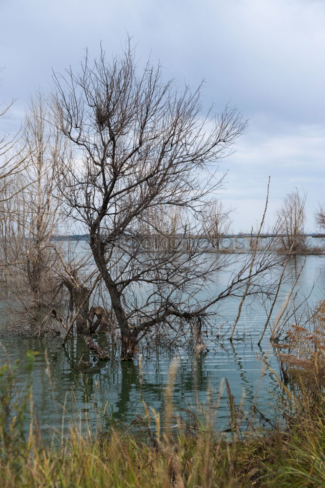 Similar – Mirror, mirror… Lake