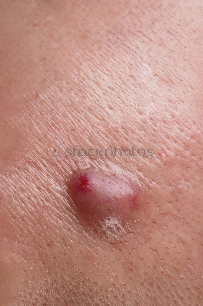 Similar – umbilicus Fluff Navel