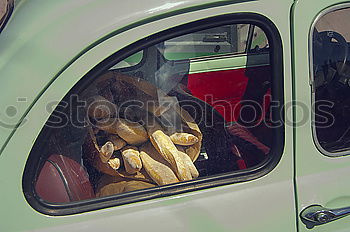 Similar – Image, Stock Photo Wildly patterned Hawaiian shirt on a hanger in the rear of an American road cruiser of the fifties in turquoise at the Golden Oldies in Wettenberg Krofdorf-Gleiberg near Giessen in Hesse