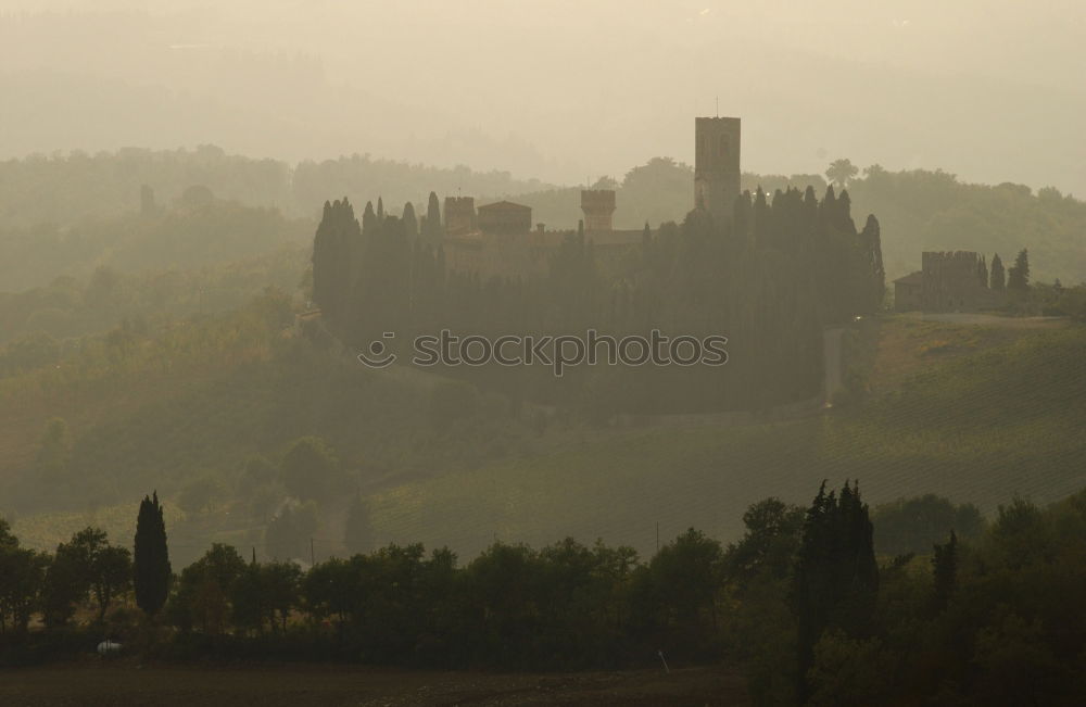 Similar – Image, Stock Photo Wartburg Castle Eisenach