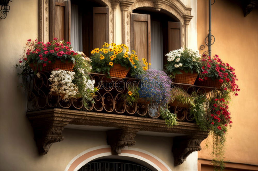 Similar – Image, Stock Photo Detail view of typical urban sicilian decoration