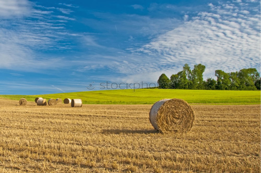 Similar – Image, Stock Photo harvest time Field Straw